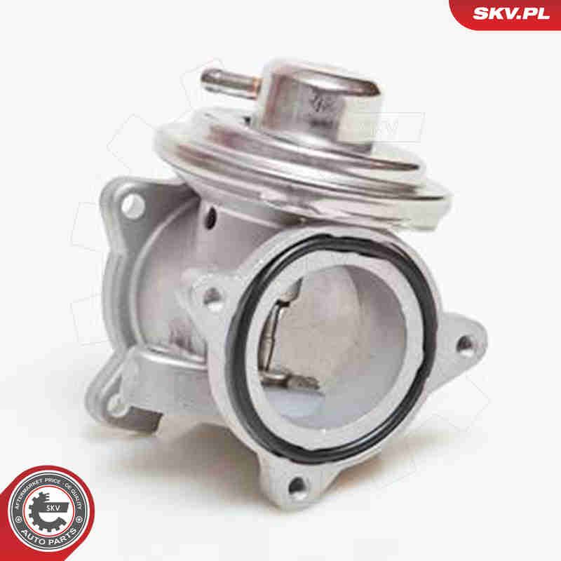 ESEN SKV 14SKV034 EGR Valve