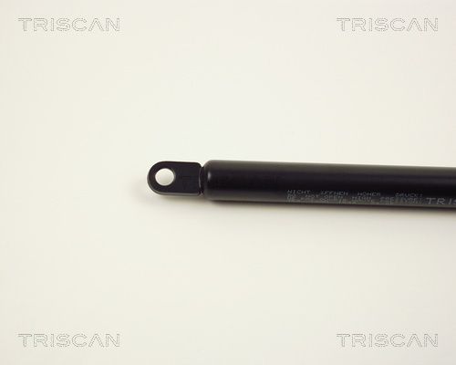 TRIS8710369_2.JPG