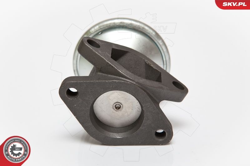 ESEN SKV 14SKV052 EGR Valve