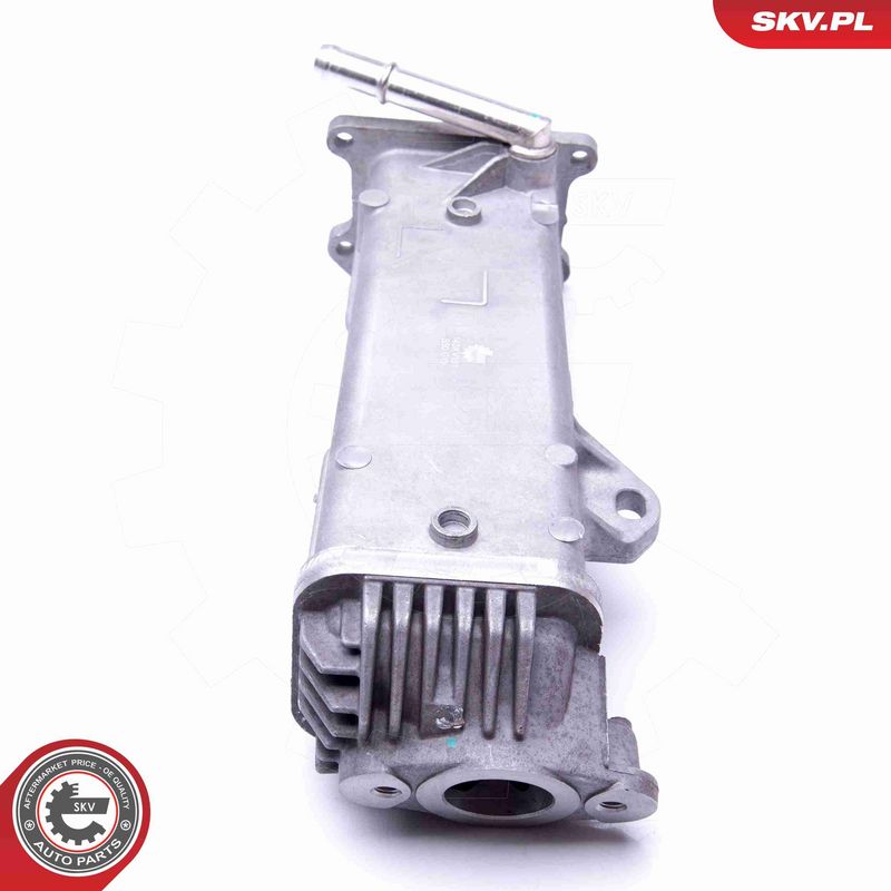 ESEN SKV 14SKV191 EGR Valve