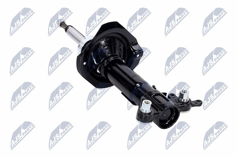 Amort, NTY A-NS-016