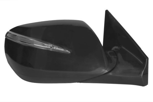 BLIC 5402-20-0556313P Exterior Mirror