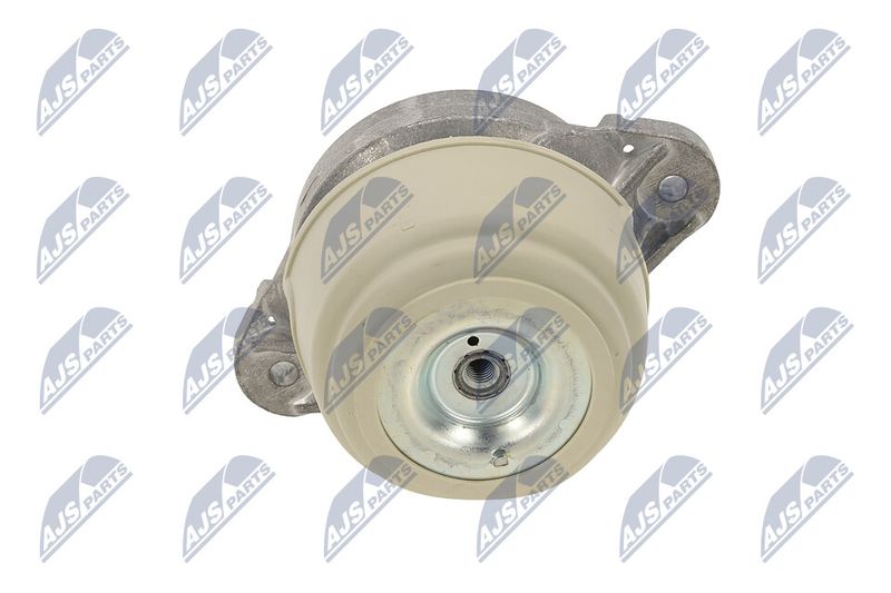 Paigutus, Mootor, NTY ZPS-ME-011