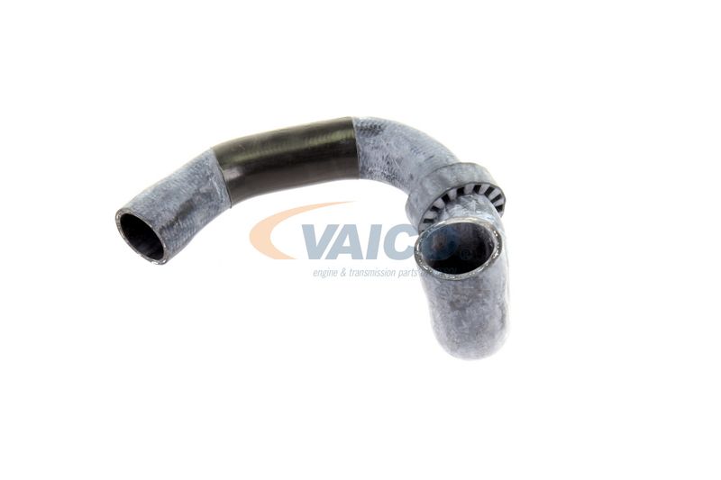 VAICO V30-2220 Radiator Hose