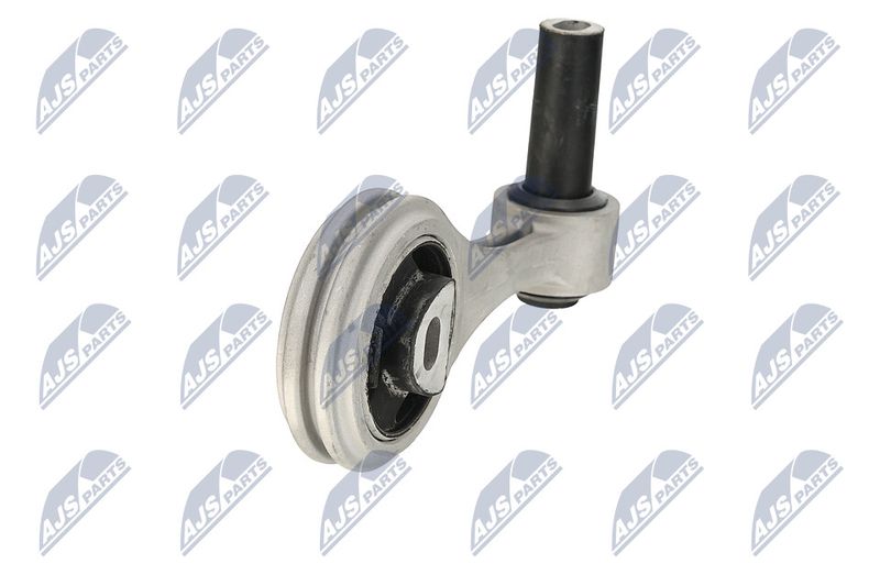 Paigutus, Mootor, NTY ZPS-FT-033