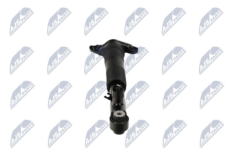 Amort, NTY A-LR-037