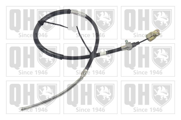 QH_BC3206.JPG