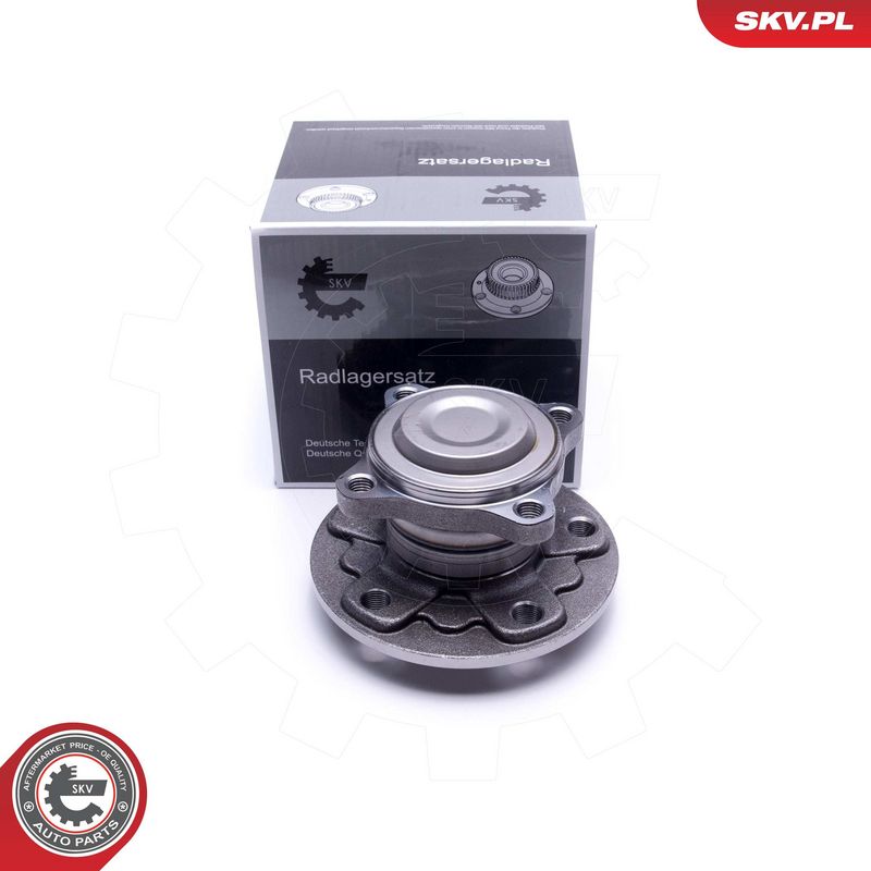 Rattalaagrikomplekt, ESEN SKV 29SKV317