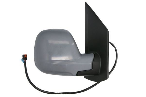 BLIC 5402-07-2491311P Exterior Mirror