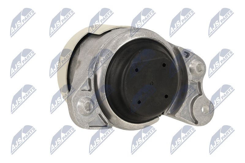 Paigutus, Mootor, NTY ZPS-ME-079