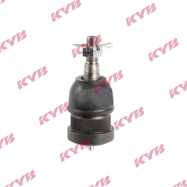 KYB-KBJ4444.JPG