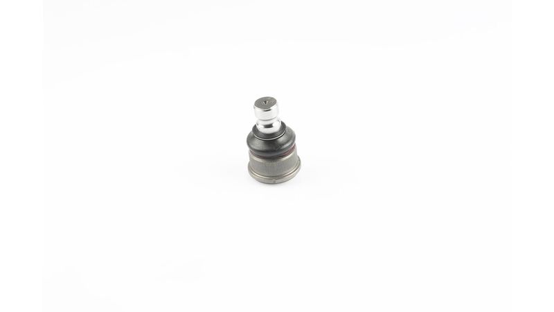 SKF VKDS 316006 Šarnyras / girgždukas