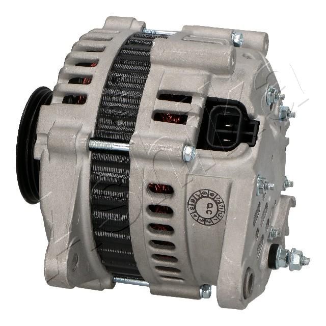 002-D435_2.JPG