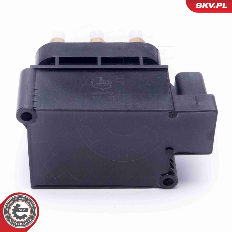 ESEN SKV 93SKV801 Valve, compressed-air system