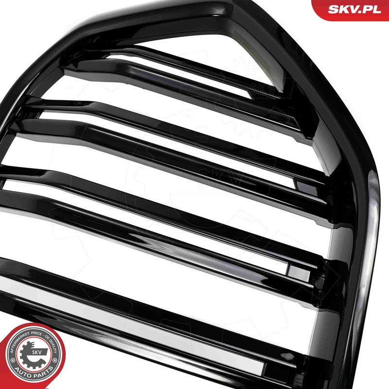 Radiaatorivõre, ESEN SKV 66SKV309