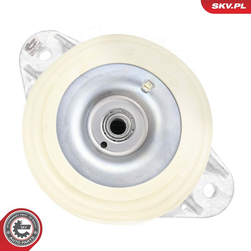 Paigutus, Mootor, ESEN SKV 75SKV118