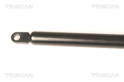 TRIS87109003_2.JPG