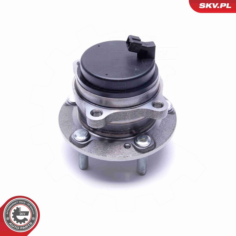 ESEN SKV 29SKV342 Wheel Bearing Kit