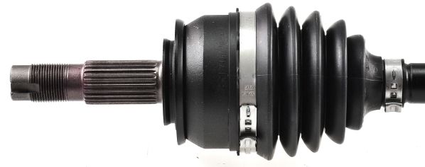 GKND11759B.JPG