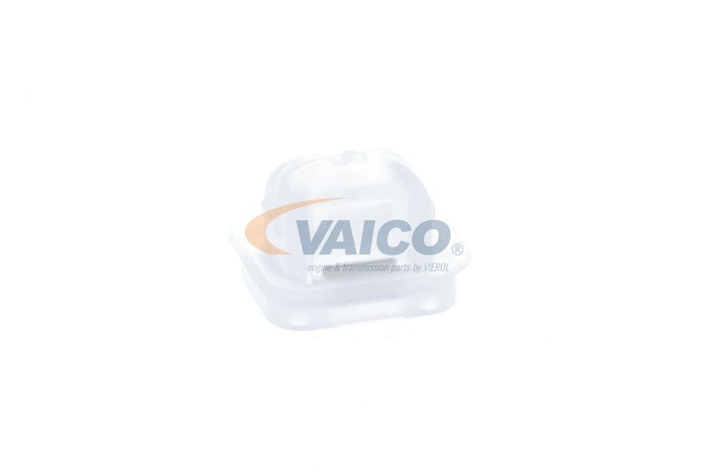 VAICO V20-1221 Clip