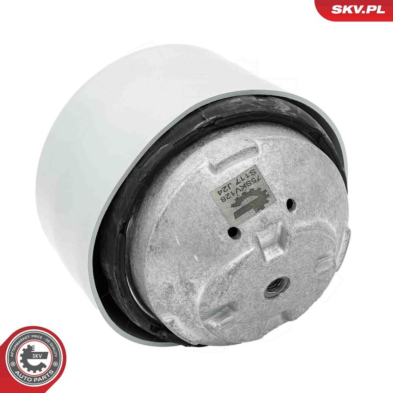 Paigutus, Mootor, ESEN SKV 75SKV128