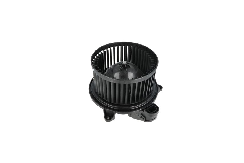 Salongipuhur, NRF 34365