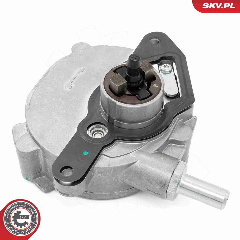ESEN SKV 18SKV080 Stabdžių sistemos vakuuminis siurblys