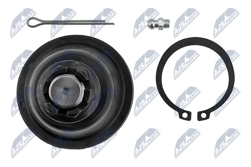 Kande-, juhtliigend, NTY ZSD-CH-037