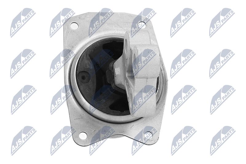Paigutus, Mootor, NTY ZPS-PL-025