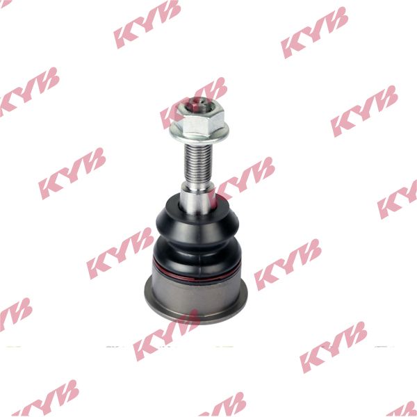 Trag-/Führungsgelenk