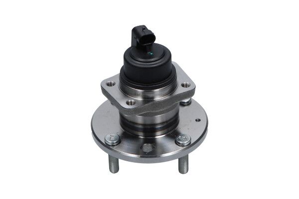 Kavo Parts Rato guolio komplektas