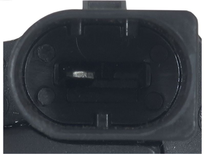 410904.JPG