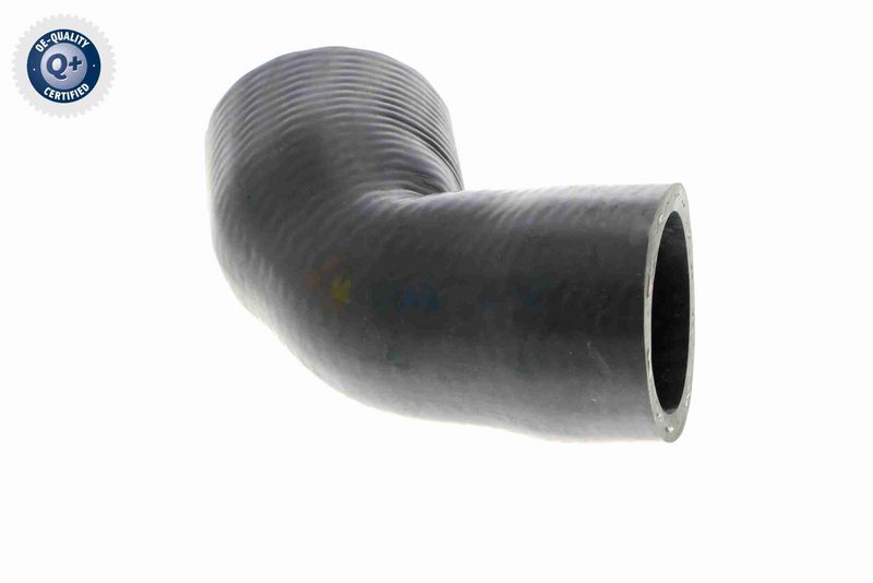 VAICO V30-2916 Radiator Hose