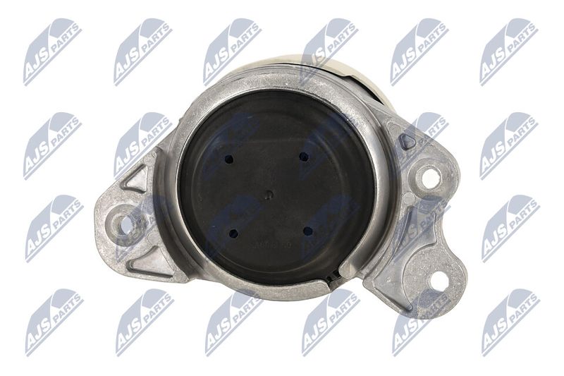 Paigutus, Mootor, NTY ZPS-ME-079