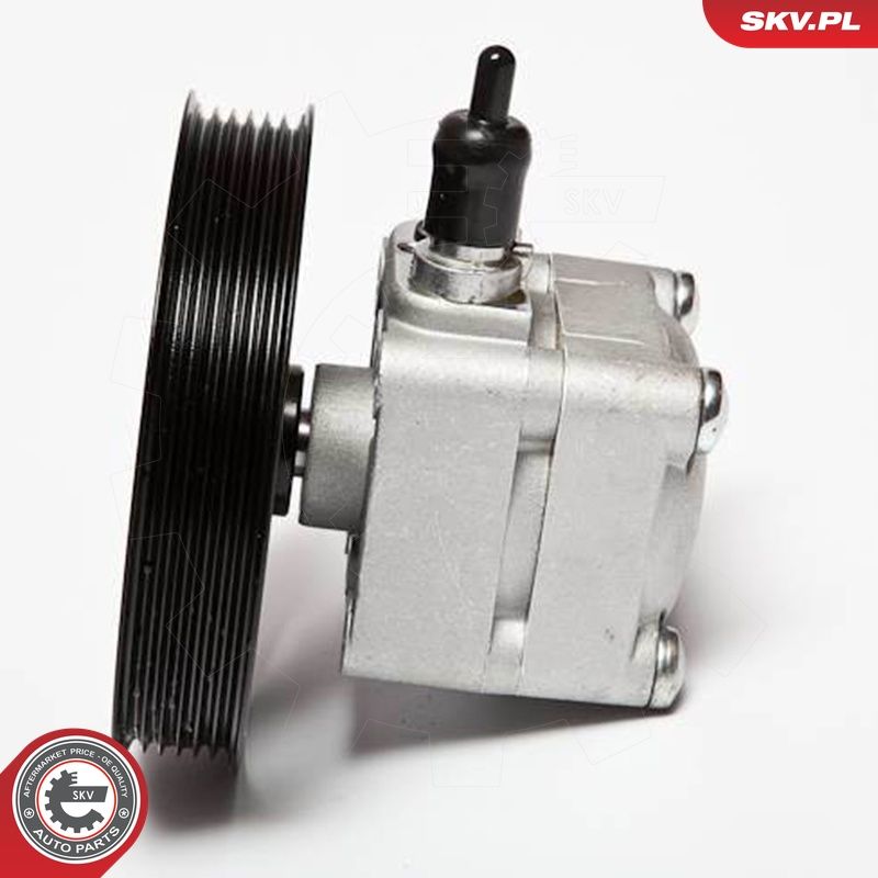 Hüdraulikapump, roolimine, ESEN SKV 10SKV074