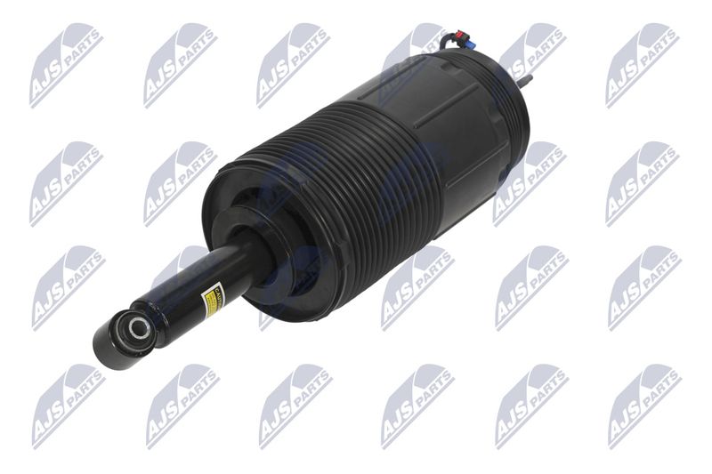 Amort, NTY A-CH-099