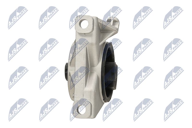 Paigutus, Mootor, NTY ZPS-PL-034