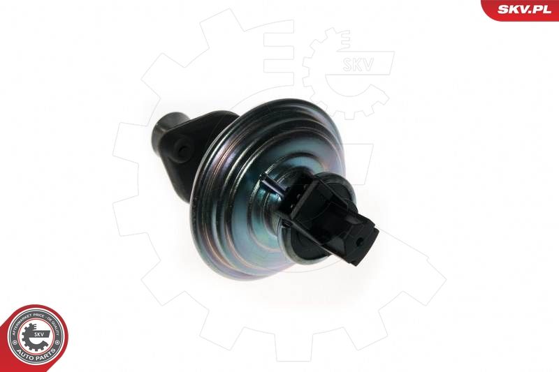 ESEN SKV 14SKV078 EGR Valve