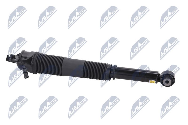 Amort, NTY A-LR-022