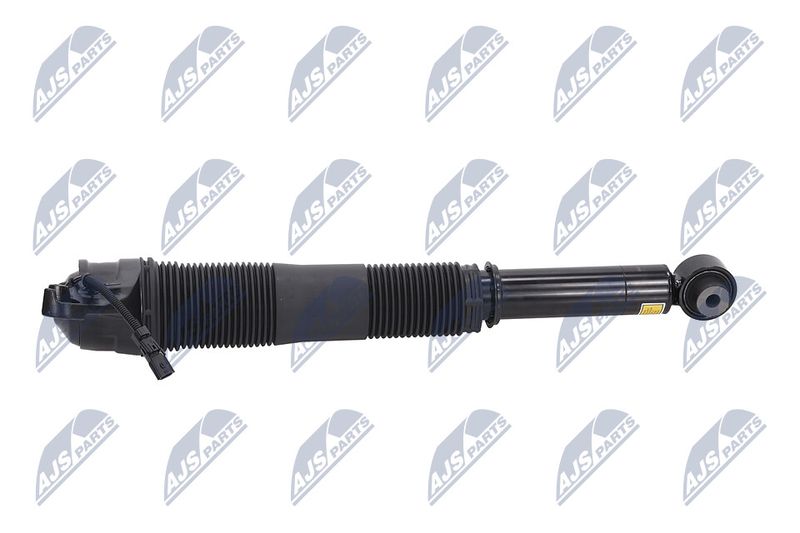 Amort, NTY A-LR-022