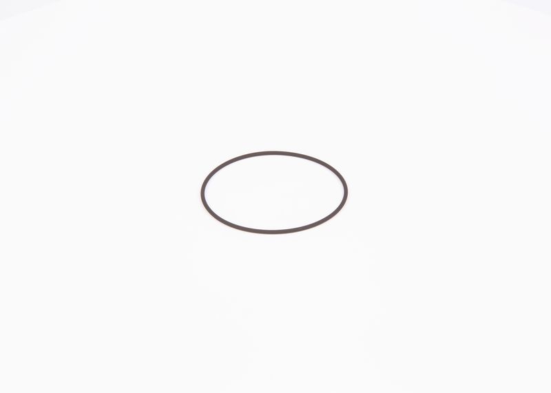 Inel de etansare F 01M 100 371 BOSCH