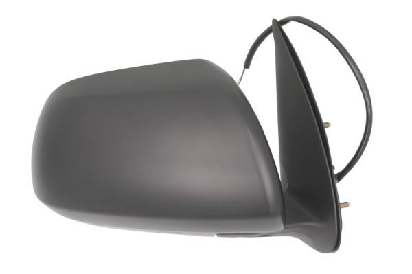 BLIC 5402-19-2002484P Exterior Mirror