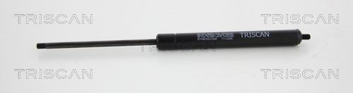 TRIS8710615237200.JPG