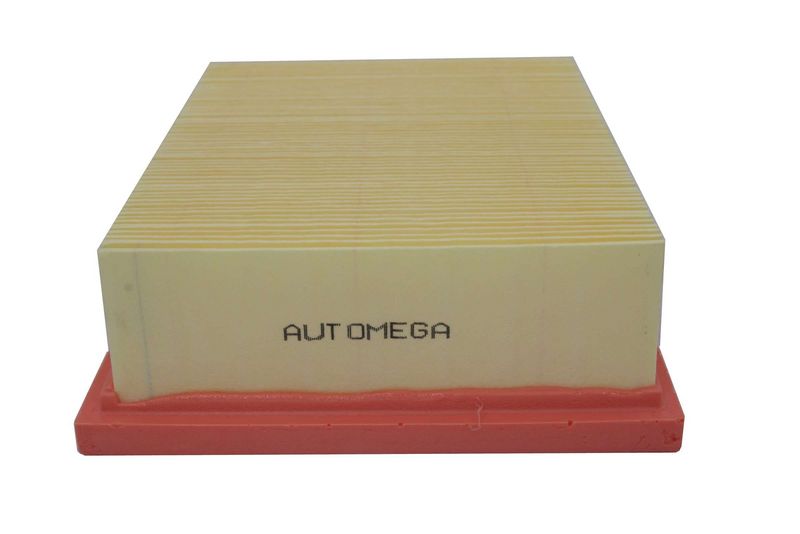 FILTRU AER AUTOMEGA 180043910 3