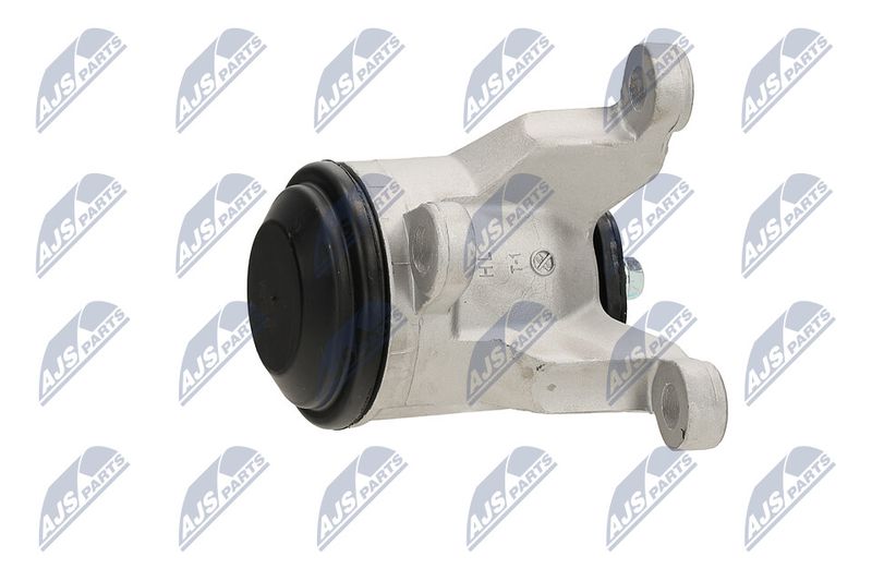 Paigutus, Mootor, NTY ZPS-NS-058