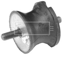 BEM3191_210050.JPG