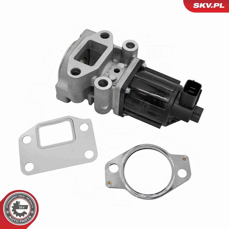 ESEN SKV 14SKV300 EGR Valve