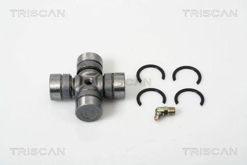 8540T17.JPG