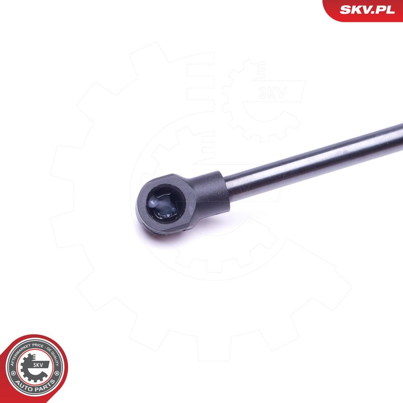 Gaasivedru, pagasi-, veoruum, ESEN SKV 52SKV301