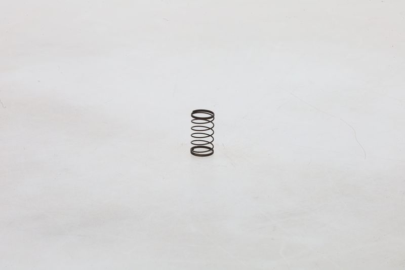 BOSCH 1464610486 Spring